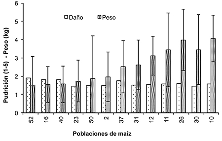 Genotipos representativos del daño promedio por pudrición en el rendimiento de mazorca, en tres localidades de evaluación: Montecillo y Ayapango, Edo. de México y Huamelulpan, Oaxaca. 2011.