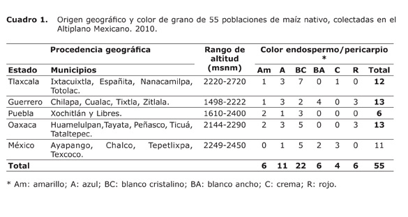 Origen geográfico y color de grano de 55 poblaciones de maíz nativo, colectadas en el Altiplano Mexicano. 2010.
