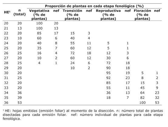 Etapas fenológicas antes, durante y después de la fase de transición del meristemo en grupos de plantas de plátano del tipo Falso Cuerno (Musa AAB, cv. Hartón alto). Estudio II. Pococí, Limón, Costa Rica. 2009-2010.