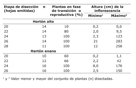 	Relación entre la emisión foliar de hojas verdaderas y la diferenciación floral en plantas de plátano (Musa AAB) del tipo Falso Cuerno (cvs. Hartón alto y Hartón enano). Estudio III. Matina, Limón, Costa Rica. Mayo de 2013 a enero del 2014.
