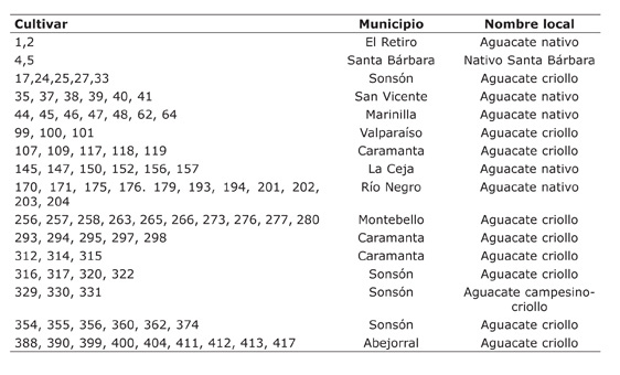 	Cultivares de aguacate del departamento de Antioquia, Colombia, seleccionados para el análisis morfológico. Periodo 2009 a 2011.