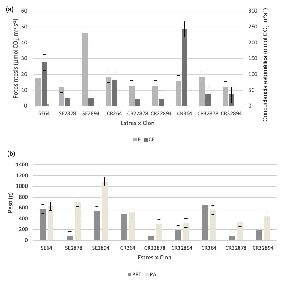 Valores promedio de fotosntesis (F), conductancia estomtica (CE), peso areo (PA) y peso de races totales (PRT) de tres clones de camote (Ipomoea batatas L.) en tres tratamientos de estrs hdrico. Instituto Nacional de Investigaciones Agrcolas-Centro Nacional de Investigaciones Agropecuarias (INIA-CENIAP). Maracay, Venezuela, 2015.