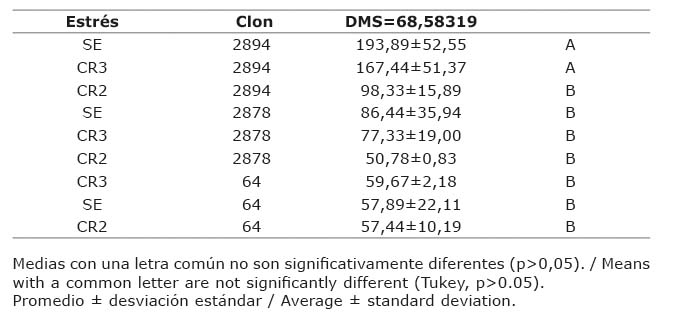Longitud promedio del tallo (bejuco o gua) en tres clores de camote (Ipomoea batatas L.), cultivados con en tres niveles de estrs hdrico. Instituto Nacional de Investigaciones Agrcolas-Centro Nacional de Investigaciones Agropecuarias (INIA-CENIAP). Maracay, Venezuela, 2015.