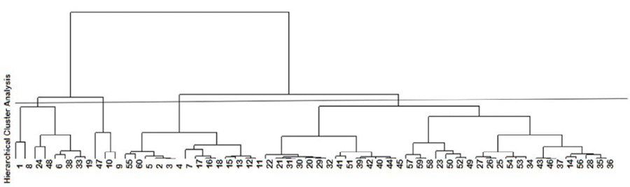 Grupos conformados por unidades productivas de caf (Coffea arabica) variedad Castillo en cuatro municipios del departamento de Nario, Colombia. Universidad de Nario. 2018-2019.