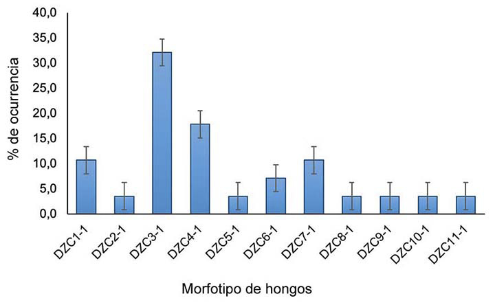 Porcentaje de ocurrencia de los morfotipos de hongos asociados a la pudrici�n seca de tub�rculos de �ame (Dioscorea rotundata), en la zona costanera del departamento de C�rdoba en el Caribe colombiano. Laboratorio del Centro de Investigaci�n Turipan� de la Corporaci�n Colombiana de Investigaci�n Agropecuaria (AGROSAVIA). Colombia, 2019.
