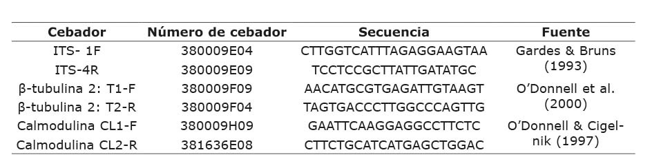 Cebadores utilizados en la amplificaci�n por PCR del ADN de los hongos asociados a la pudrici�n seca del tub�rculo del �ame (Dioscorea rotundata), de la zona costanera del departamento C�rdoba del Caribe colombiano. Laboratorio del Centro de Investigaci�n Turipan� de la Corporaci�n Colombiana de Investigaci�n Agropecuaria (AGROSAVIA). Colombia, 2019.