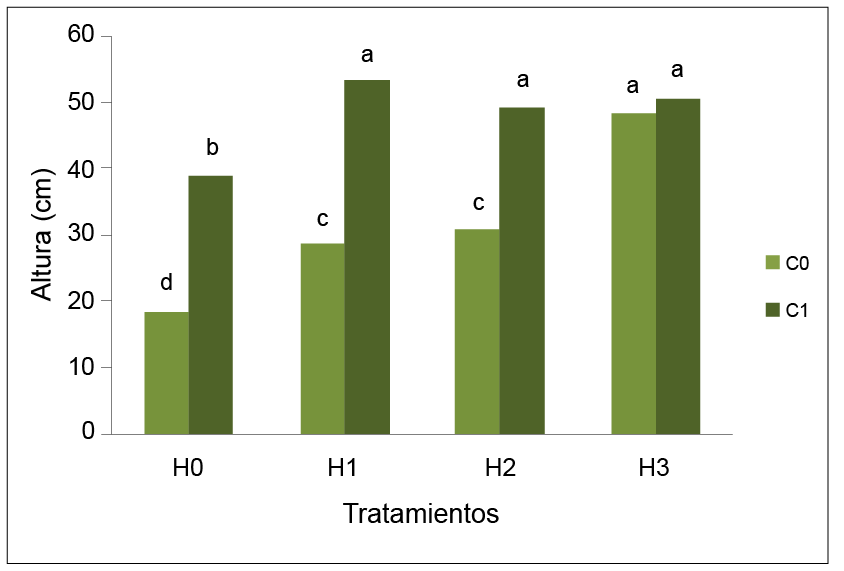 Efecto de las interacciones de tratamientos sobre la altura de las pl�ntulas de pl�tano (Musa AAB cv. Hart�n Gigante, subgrupo Plantain). Maracay, Estado Aragua, Venezuela. A�o 2019.