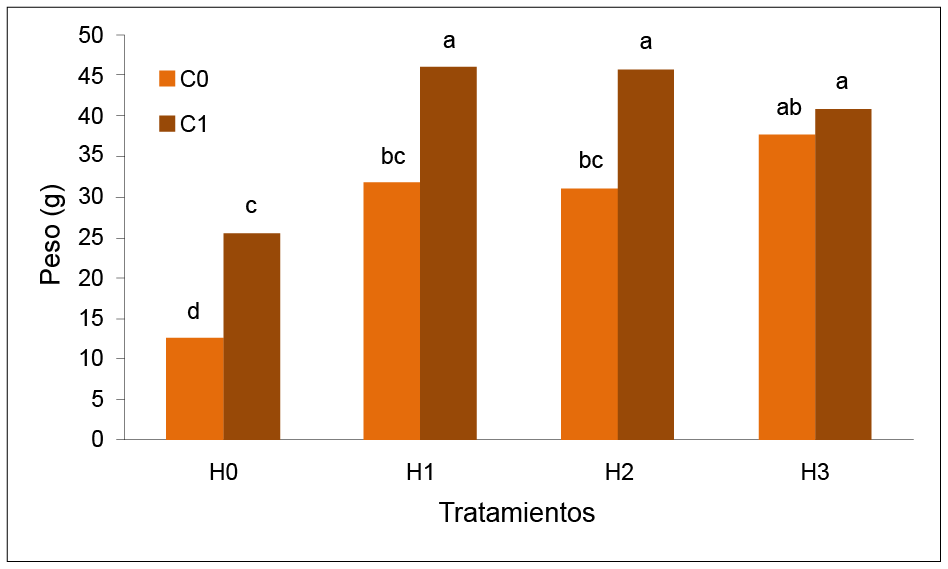 Efecto de las interacciones de los tratamientos sobre el peso de ra�ces de las pl�ntulas de pl�tano (Musa AAB cv. Hart�n Gigante, subgrupo Plantain). Maracay, Estado Aragua, Venezuela. A�o 2019.