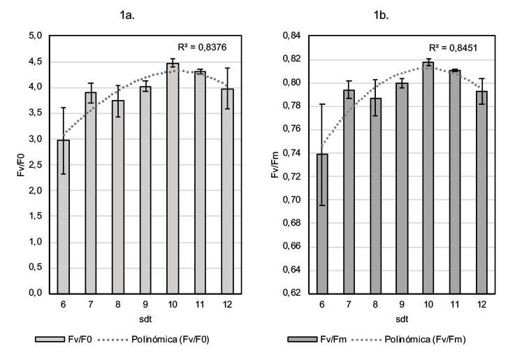 Relaciones de fluorescencia en plantas de Cannabis sativa cultivar CS001 entre seis y doce semanas despu�s de trasplante sdt Corporaci�n Colombiana de Investigaci�n Agropecuaria AGROSAVIA Antioquia Colombia 2020