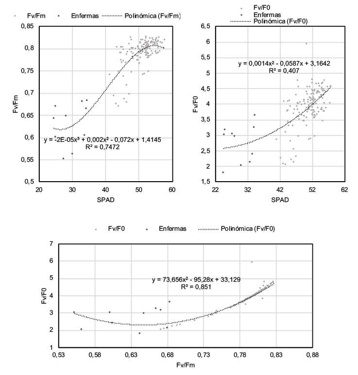 Correlaciones entre relaciones de fluorescencia (Fv/Fm y Fv/F0) y valores SPAD en plantas de Cannabis sativa cultivar CS-0001 con condiciones sanitarias contrastantes. Corporaci�n Colombiana de Investigaci�n Agropecuaria (AGROSAVIA), Antioquia, Colombia. 2020.
