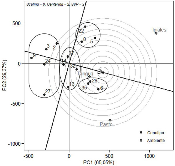 Modelo GGE – biplot para la comparación de quince genotipos de arveja (Pisum sativum L.) respecto al genotipo ideal. Nariño, Colombia. 2013-2014.
