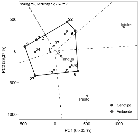 Mega-ambientes establecidos según el Biplot GGE para rendimiento en grano seco de quince genotipos de arveja (Pisum sativum L.) evaluados en tres ambientes de Nariño, Colombia. 2013 – 2014.