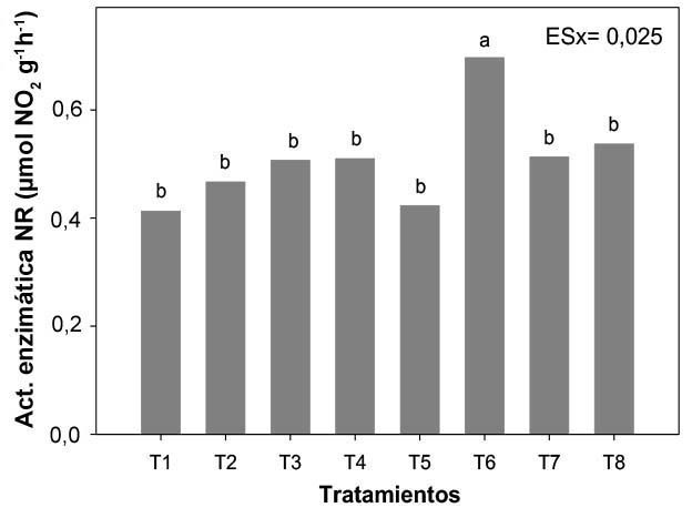 Efecto de la adici�n conjunta del inoculante Azofert-S� y el quitosano a las semillas de soya (Glycine max) INCAsoy-27 (IS-27), en la actividad de la nitrato reductasa (NR) en hojas de soya cultivada en cuarto de crecimiento. Mayabeque, Cuba, 2016.