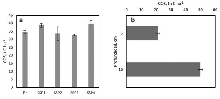 Carbono orgánico acumulado en le suelo en cuatro sistemas silvopastoriles y una pradera de solo gramínea, en el valle medio del río Sinú, municipio de Cereté, departamento de Córdoba Colombia, 2013.