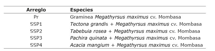 Arreglos silvopastoriles evaluados. Centro de Investigación Turipaná, Corporación Colombiana de Investigación Agropecuaria (AGROSAVIA). Municipio de Cereté, departamento de Córdoba, Colombia. 2013.