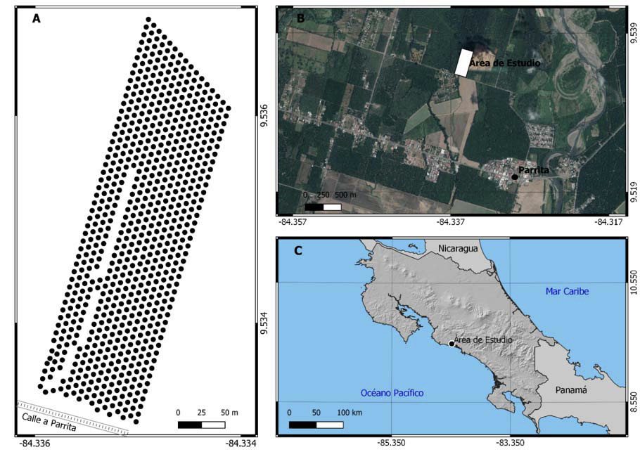 (A) Distribucin espacial de las plantas de palma de aceite (Elaeis guineensis Jacq.), evaluadas en lote Los 15. (B - C) Ubicacin geogrfica del rea de estudio en el contexto de Parrita y Costa Rica, respectivamente. Cooperativa CoopeCalifornia R.L., Parrita, Puntarenas, Costa Rica, 2014-2017.