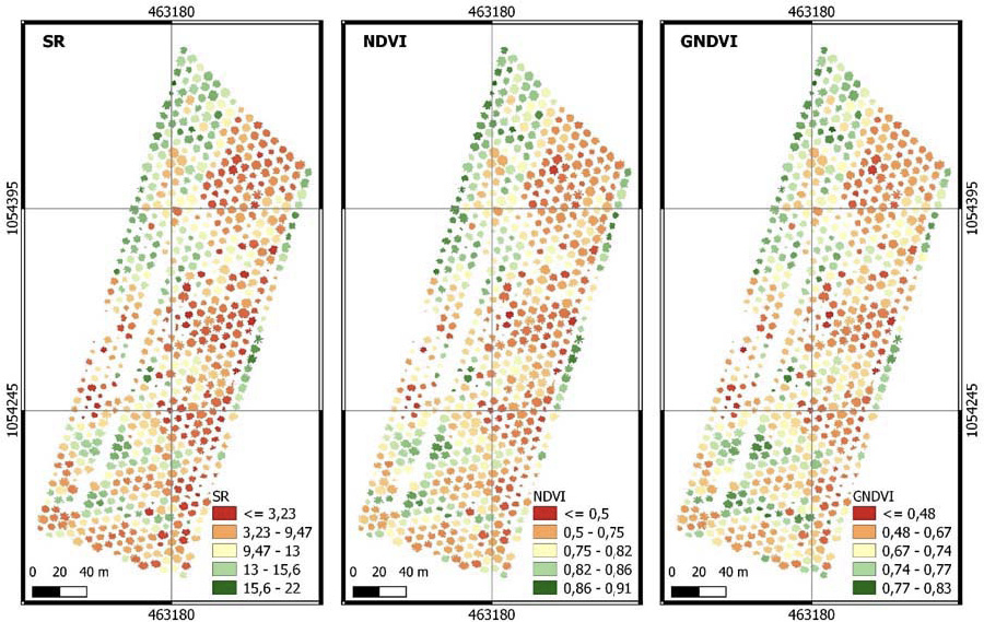 Variacin espacial de la proporcin simple (SR), el ndice de vetacin de diferencia normalizada (NDVI) y el ndice de vegetacin de diferencia normalizada verde (GNDVI) en el rea de estudio en febrero 2017 (IV evaluacin del Sndrome de Flecha Seca) en la palma aceitera (Elaeis guineensis Jacq.)). Cooperativa CoopeCalifornia R.L., Parrita, Puntarenas, Costa Rica.