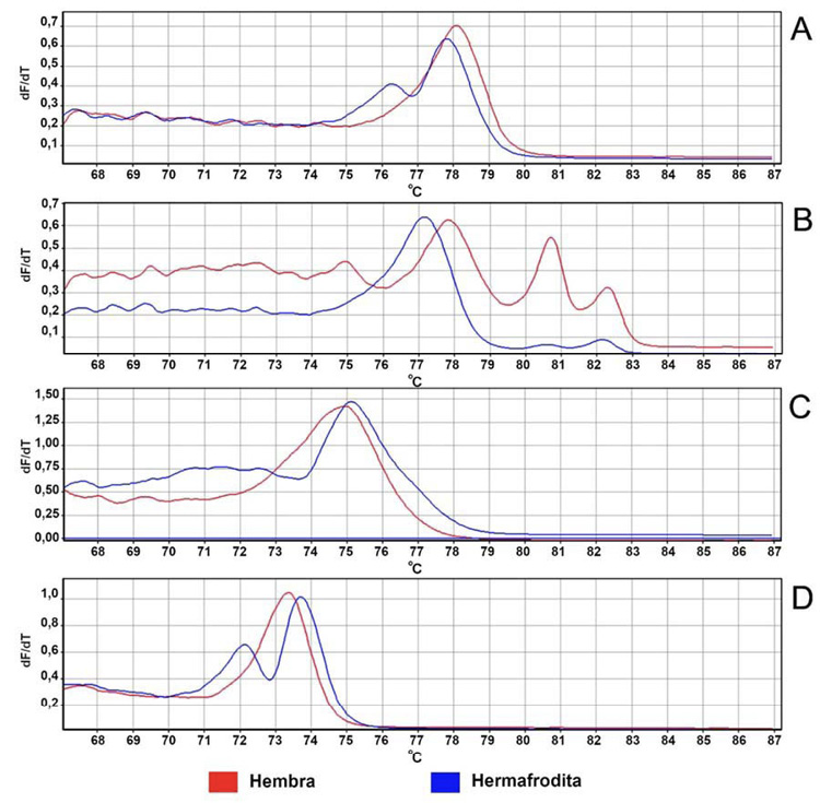 Curvas derivadas de fusi�n, obtenidas en plantas de papaya (Carica papaya L.), mediante el an�lisis HRM con imprimadores tipo SNP espec�ficos para sexado de papaya del grupo 1: A. CpSERK_HRM_34787, B. CpCAF1AL_HRM_01, C. CpSERK_HRM_34072, D. CpSERK_HRM_34704. Laboratorio de Biolog�a Molecular, Estaci�n Experimental Agr�cola Fabio Baudrit Moreno. Universidad de Costa Rica. Alajuela, Costa Rica, 2020.