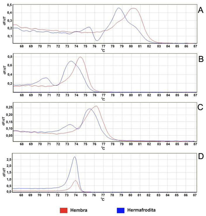 Curvas derivadas de fusi�n, obtenidas en plantas de papaya (Carica papaya L.), mediante el an�lisis HRM con marcadores tipo SNP espec�ficos para sexado de papaya del grupo 2: A. CpCAF1AL_HRM_02, B. CpCAF1AL_HRM_04, C. CpSERK_HRM_34760, D. CpSVPL_HRM_88r. Estaci�n Experimental Agr�cola Fabio Baudrit Moreno. Universidad de Costa Rica. Alajuela, Costa Rica, 2020.