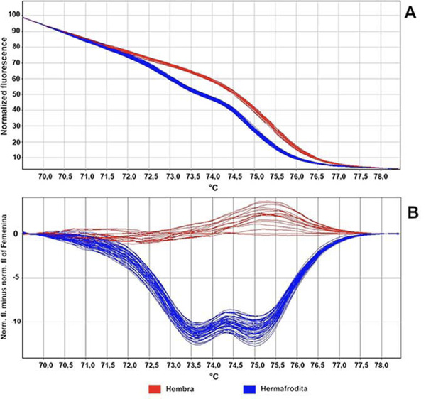 A. Curvas derivadas de fusi�n normalizada y B. Curva de fusi�n del gr�fico de diferencias de temperaturas para plantas hembras y plantas hermafroditas de papaya (Carica papaya L.), obtenidos mediante el imprimador SNP CpSERK_HRM_34704, con la t�cnica HRM. Laboratorio de Biolog�a Molecular, Estaci�n Experimental Fabio Baudrit, Universidad de Costa Rica. Alajuela, Costa Rica, 2020.