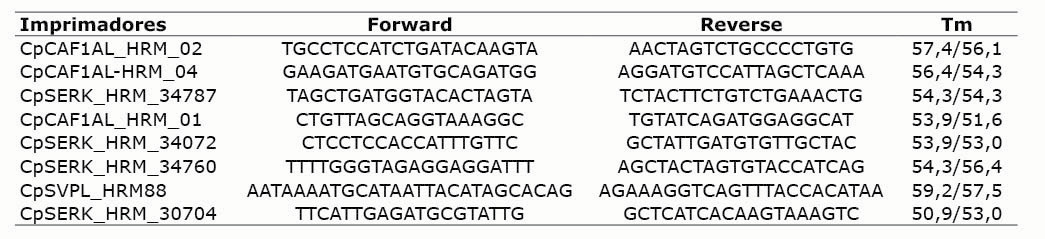 Secuencias de los imprimadores SNP desarrollados por Lee et al. (2018), usados para identificar el sexo de pl�ntulas de papaya (Carica papaya L.), mediante la t�cnica HRM. Laboratorio de Biolog�a Molecular, Estaci�n Experimental Agr�cola Fabio Baudrit Moreno, Universidad de Costa Rica. Alajuela, Costa Rica, 2020.