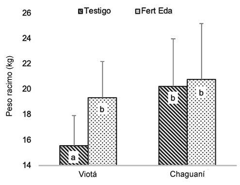 Respuesta del peso del racimo a la fertilizaci�n ed�fica del pl�tano Musa AAB en Viot� y Chaguan� Cundinamarca Colombia 2018