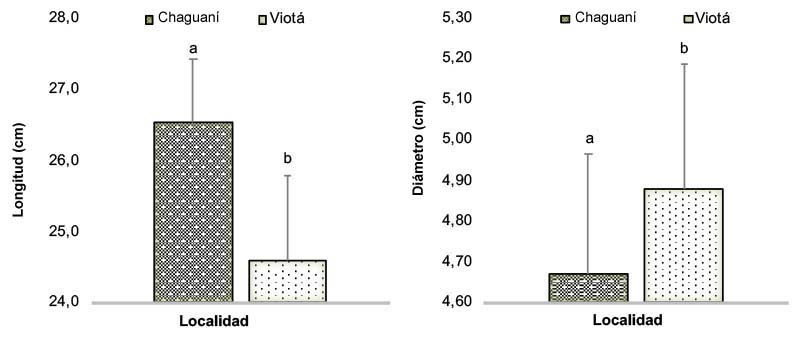Variables asociadas al crecimiento del fruto de plantas de pl�tano (Musa AAB) a 105 d�as despu�s de floraci�n: longitud (izquierda) y di�metro del dedo central de la tercera mano del racimo (derecha) en Viot� y Chaguan�, Cundinamarca, Colombia, 2018.