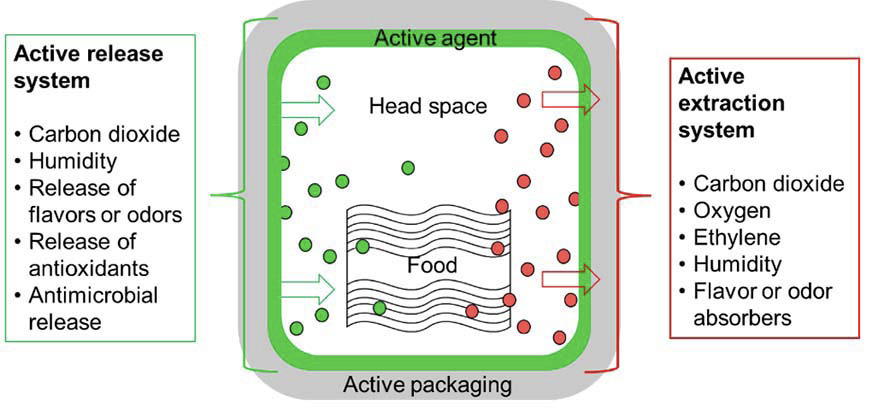 Graphic representation of the functionalities and characteristics of the active food package. Adapted from Kuswandi and Jumina (2020).
