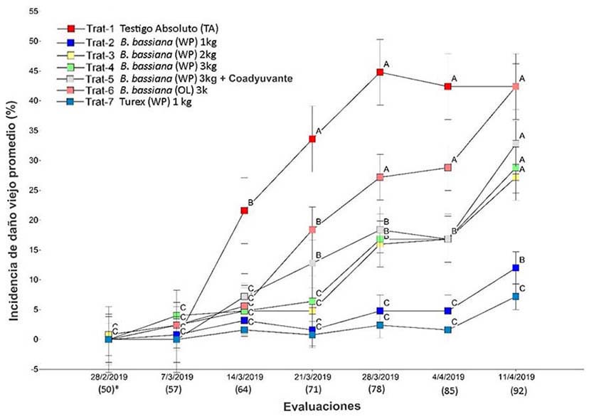 Medias de incidencia (%) de dao viejo (gomosis) por tratamiento ocasionado por Tecla (S. megarus). Ro Jimnez, Gucimo, Limn, Costa Rica. 2019.
