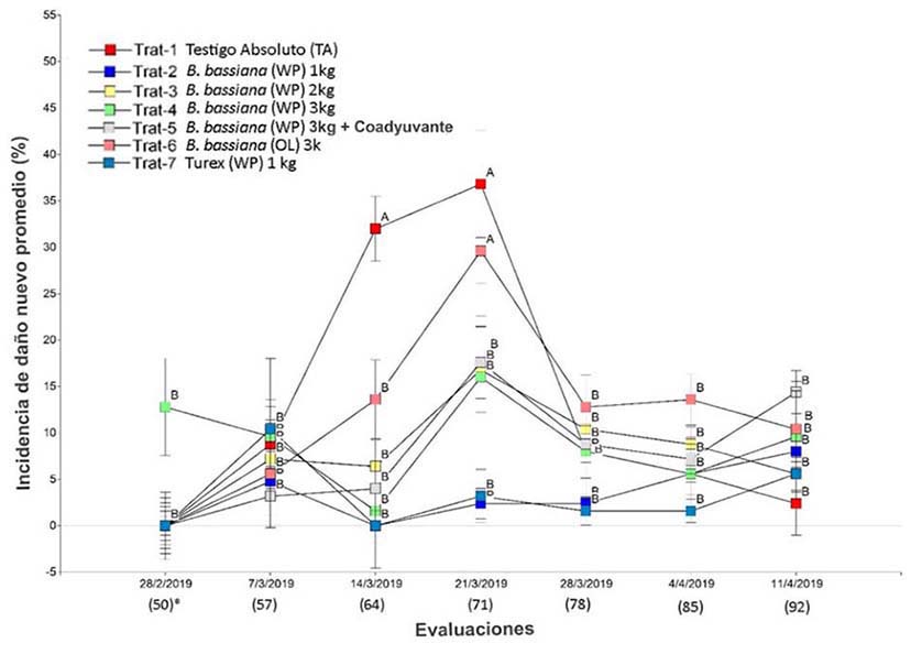 Medias de incidencia (%) de dao fresco por tratamiento ocasionado por tecla (S. megarus). Ro Jimnez, Gucimo, Limn, Costa Rica. 2019.