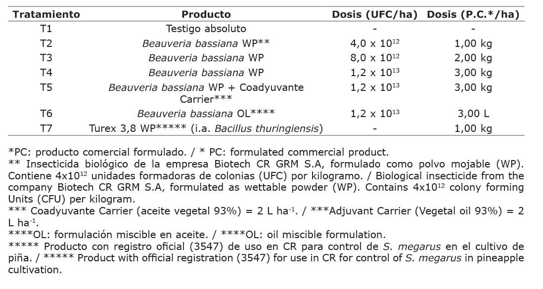 Descripcin de los tratamientos para evaluar la eficacia biolgica del bioinsecticida B. bassiana en pia (Ananas comosus). Ro Jimnez, Gucimo, Limn, Costa Rica. 2019.