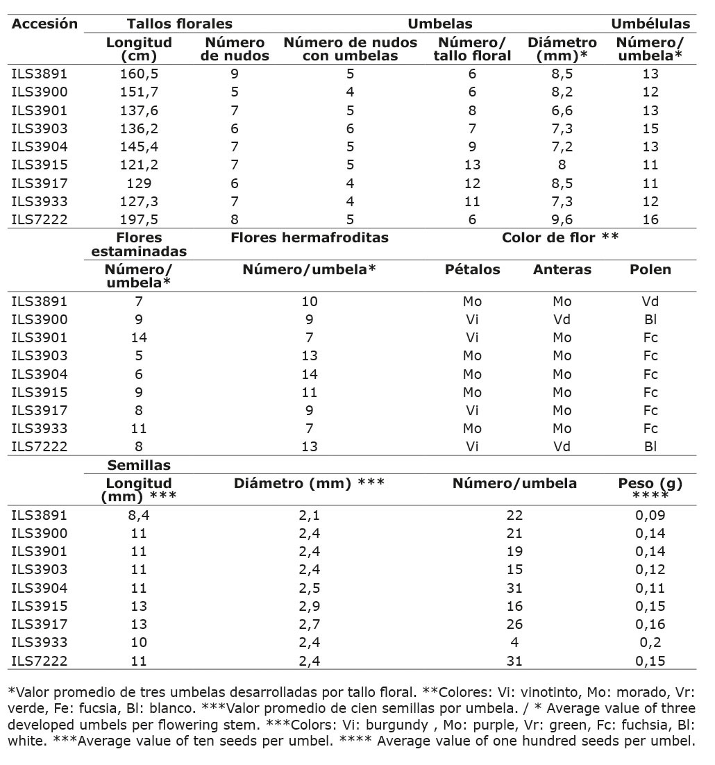 Caracterización morfológica de nueve accesiones de arracacha (Arracacia xanthorrhiza Bancr.). Centro de Investigación La Selva, Rionegro, Antioquia, Colombia. 2019-2020.