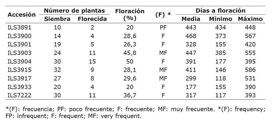 Número de plantas florecidas y número de días a floración por cada accesión de arracacha (Arracacia xanthorrhiza Bancr.). Centro de Investigación La Selva, Rionegro, Antioquia, Colombia. 2019-2020.