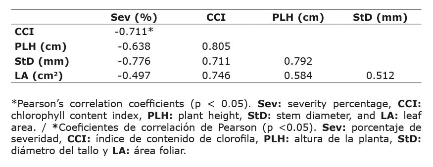 Correlation matrix between severity percentage, chlorophyll content index, and allometric variables of Andean blackberry (Rubus glaucus Benth.) plants inoculated with C. gloeosporioides strain 52. Colombian Corporation for Agricultural Research (AGROSAVIA). Mosquera, Cundinamarca, Colombia. 2017.