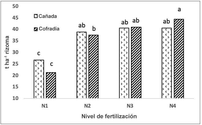 Diferencias para la interacci�n localidad*fertilizaci�n para la variable rendimiento (t ha-1) de rizoma de achira (Canna edulis, Ker) en el municipio de La Cruz, Nari�o, Corporaci�n Colombiana de Investigaci�n Agropecuaria (AGROSAVIA), Centro de Investigaci�n Obonuco, Colombia. 2016- 2017.