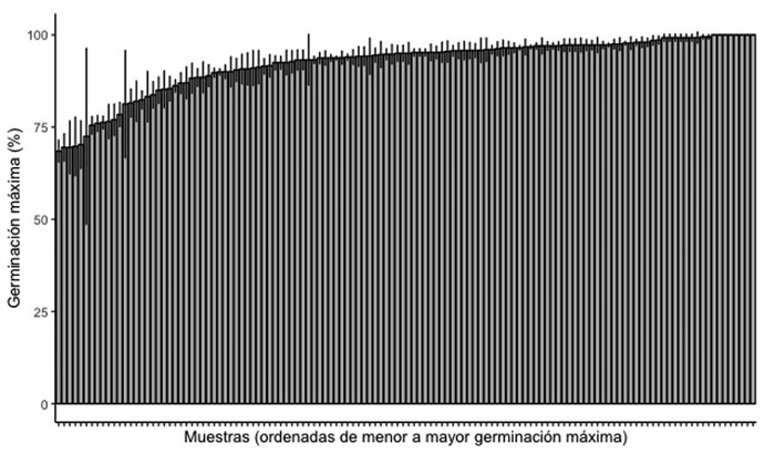 Germinacin mxima (a los cuatro das despus de la imbibicin) de 126 muestras de arroz (Oryza sativa L.) evaluadas mediante el uso de imgenes digitales. Centro para Investigaciones en Granos y Semillas (CIGRAS), Costa Rica, 2016-2018.