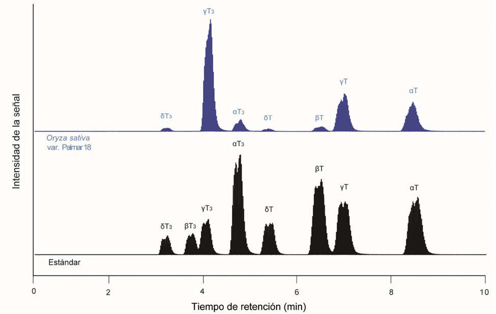 Cromatogramas obtenidos por UHPLC-APCI(-)-MS de la separación de los tocoferoles y tocotrienoles en una muestra del grano completo de arroz en granza molido (Oryza sativa L.), variedad índica comercial registrada Palmar 18 (azul, arriba) y en una muestra de estándares (negro, abajo). Las condiciones de separación e identificación utilizadas para la obtención de los cromatogramas se describen en la sección de metodología de identificación y cuantificación por UHPLC-MS. Centro para Investigaciones en Granos y Semillas, Universidad de Costa Rica, San José, Costa Rica. 2021.