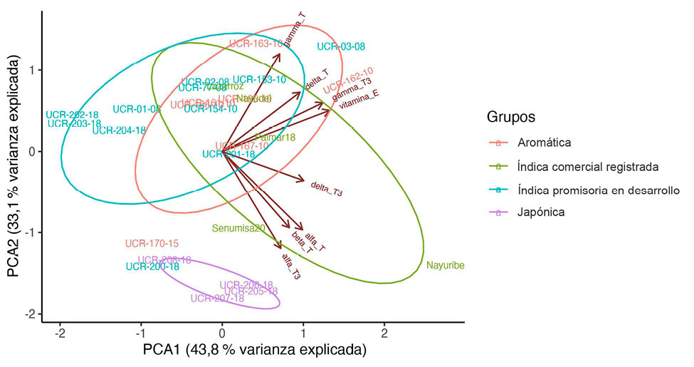 Análisis de componentes principales del contenido de tocoferoles y tocotrienoles en las variedades de arroz (Oryza sativa L.) de Costa Rica. Los porcentajes representan la proporción de variación explicada por cada eje. Centro para Investigaciones en Granos y Semillas, Universidad de Costa Rica, San José, Costa Rica. 2021.