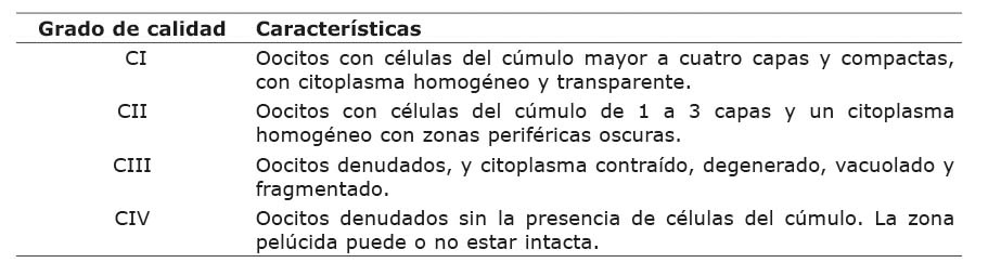 Criterios usados para la selecci�n de los complejos c�mulos-oocito (COCs) en bovinos (Bos indicus) (escala descrita por Chaubal et al. (2006), de Loos et al. (1989) y Leibfried & First (1979)).