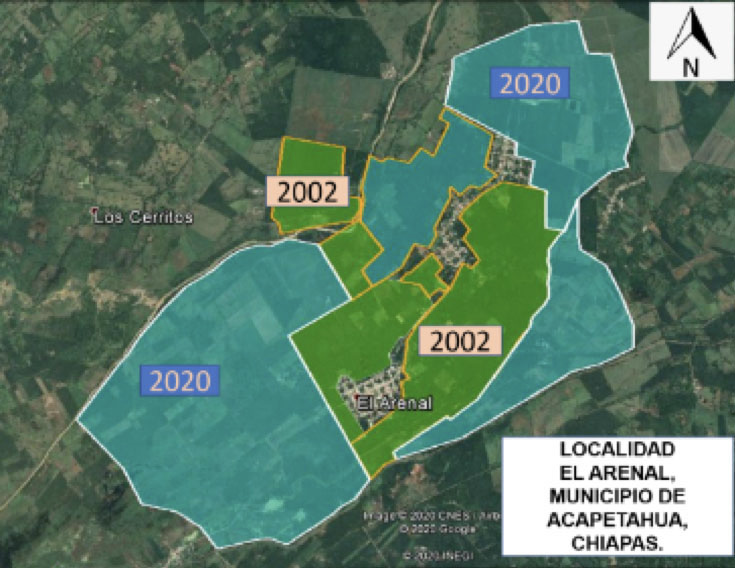 Panormica de la superficie sembrada de palma de aceite de acuerdo con las imgenes de Google Earth en el 2002 (verde obscuro) y 2020 (azul claro) en la localidad El Arenal, municipio de Acapetahua, Chiapas, Mxico.