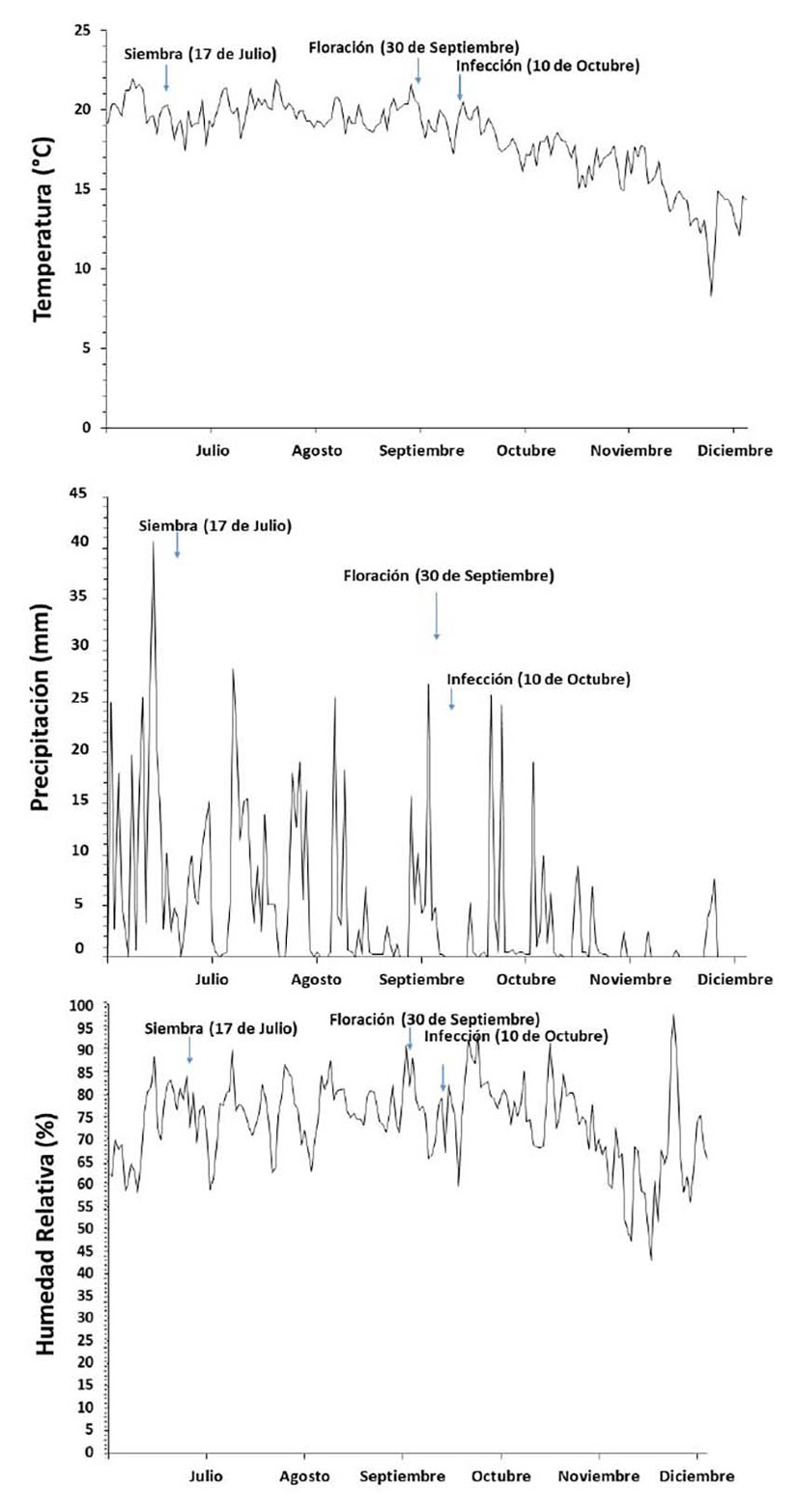Datos clim�ticos del sitio donde se realiz� el experimento de campo de las t�cnicas de inoculaci�n con los diferentes aislamientos de F. verticillioides.  Los datos se obtuvieron de julio a diciembre de 2019 en la Estaci�n Meteorol�gica del Campo Experimental Centro altos de Jalisco (CECEAJAL), Instituto Nacional de Investigaciones Forestales, Agr�colas y Pecuarias (INIFAP). Tepatitl�n de Morelos, Jalisco. M�xico. 2019.