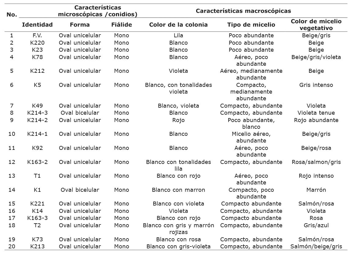 Caracter�sticas macro y microsc�picas de veinte aislamientos de F. verticillioides obtenidos de las muestras de grano de ma�z de la regi�n Ci�nega/Chapala (2018). Laboratorio de Fitopatolog�a, Campo Experimental Centro Altos de Jalisco (CECEAJAL), Instituto Nacional de Investigaciones Forestales, Agr�colas y Pecuarias (INIFAP). Tepatitl�n de Morelos, Jalisco. M�xico. 2019.