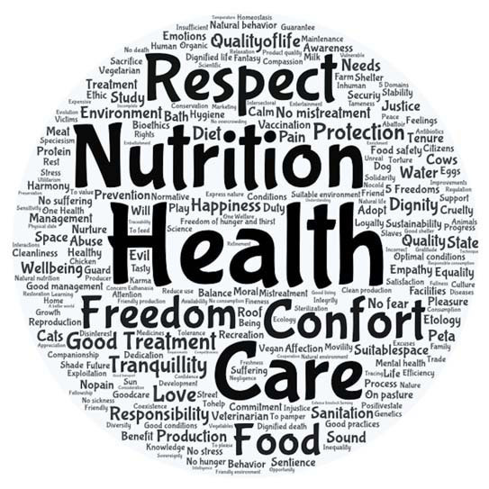 Word cloud built with the words used by the participants when responding to the question ‘Write three words that come to your mind when thinking of animal welfare’ (responses to an online survey of adult consumers). Colombia, Sept-Oct. 2021.