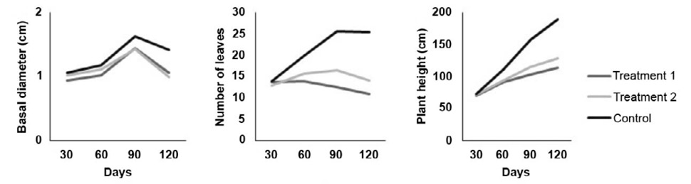 Effect of two inoculation treatments of C. fimbriata in G. arborea plants growth at 30, 60, 90, and 120 days. Treatment 1 (solid medium), Treatment 2 (liquid medium). Instituto Tecnolgico de Costa Rica, Santa Clara, San Carlos, Costa Rica October 2019 to January 2020.