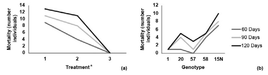 Reported mortality by number of individuals according to (a) inoculation or treatment method and (b) melina (Gmelina arborea) genotype at 60, 90 and 120 days of evaluation. Santa Clara, San Carlos, Costa Rica October 2019 to January 2020.