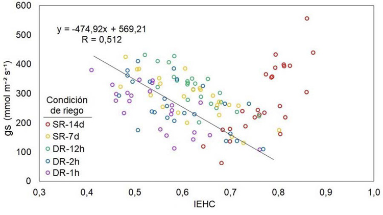 Relacin entre la conductancia estomtica (gS) de la hoja e ndice de estrs hdrico en el cultivo de palto (Persea americana M.) (IEHC) bajo diferentes regmenes de riego. Estacin Experimental Agraria Canan del Instituto Nacional de Innovacin Agraria (INIA). Ayacucho, Per, 2023.