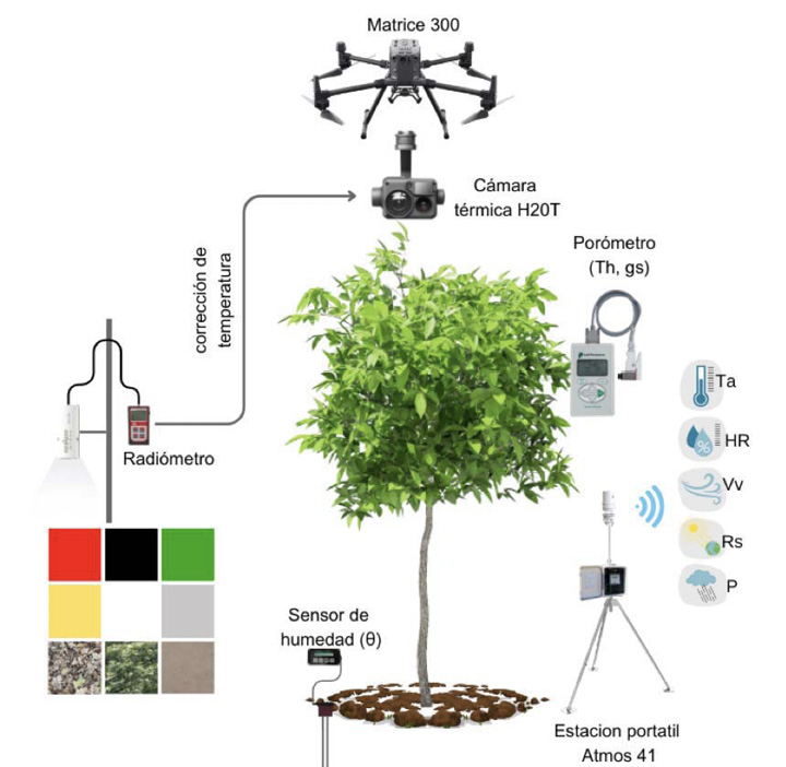 Sensores y equipos utilizados para la medicin y recopilacin de informacin en campo durante los monitoreos en el cultivo de palto (Persea americana M.) en la Estacin Experimental Agraria Canan del Instituto Nacional de Innovacin Agraria (INIA). Ayacucho, Per, 2023.