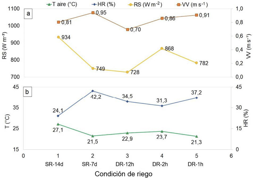 Variacin de la radiacin solar (RS), velocidad de viento (VV), temperatura del aire (T aire) y humedad relativa (HR) durante los das de monitoreo en rboles de palto (Persea americana M.) en la Estacin Experimental Agraria Canan del Instituto Nacional de Innovacin Agraria (INIA). Ayacucho, Per, 2023.