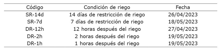 Manejo de riego a intervalos de 14 (SR-14d) y 7 das de restriccin de riego (SR-7d), con mediciones a las 12 (DR-12h), 2 (DR-2h) y 1 horas despus del riego (DR-1h), en el cultivo de palto (Persea americana M.). Estacin Experimental Agraria Canan del Instituto Nacional de Innovacin Agraria Ayacucho, Per, 2023.