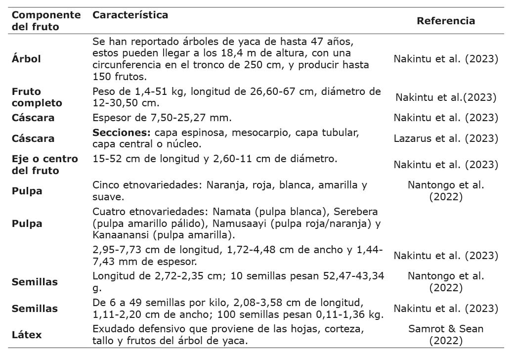 Características morfológicas de la yaca (Artocarpus heterophyllus Lam.).